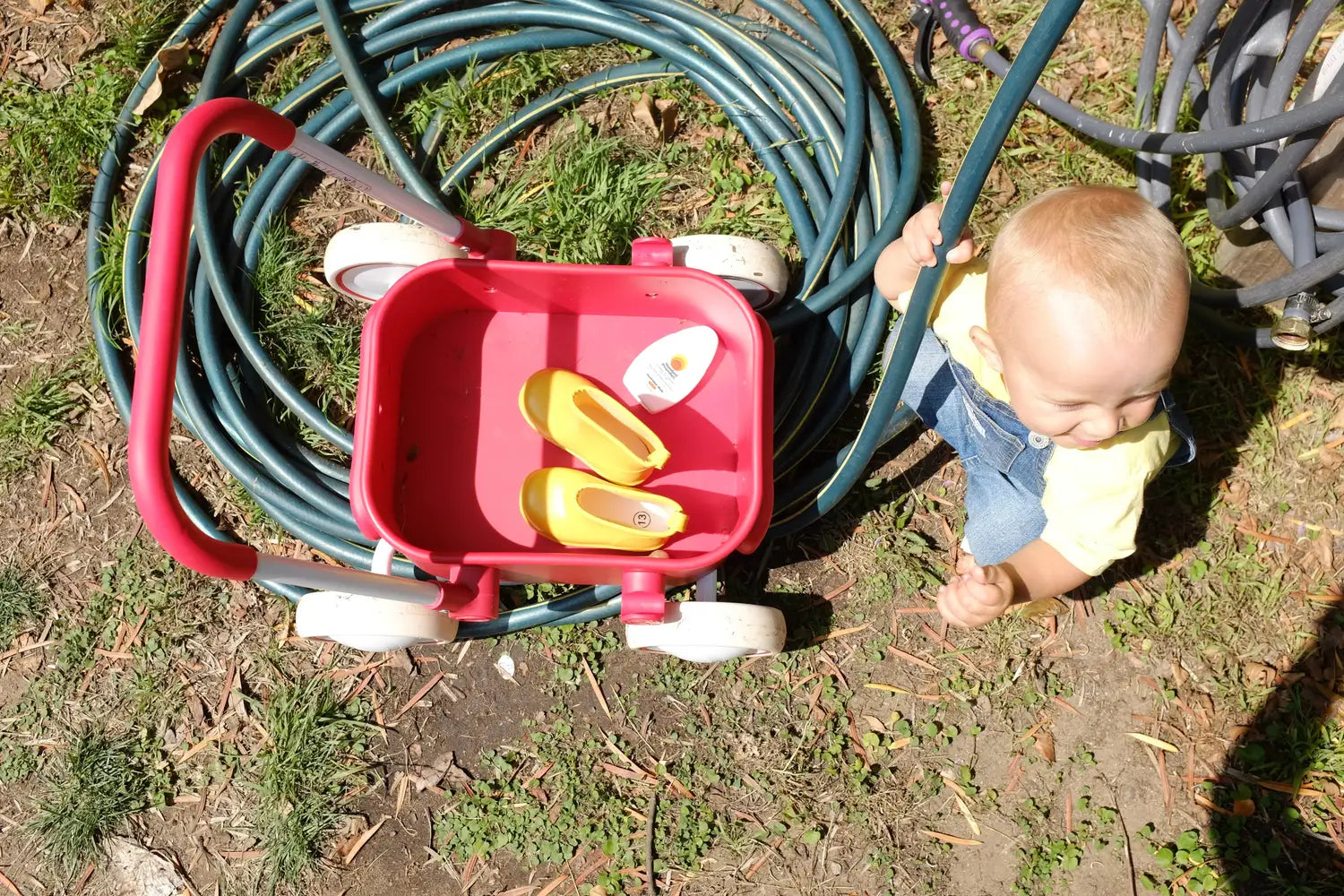 Toddler grips a garden hose beside a red cart holding yellow shoes and Standard Procedure sunscreen.